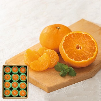 ߏ_ ËvY ly͂ԁF12{`z